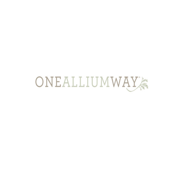 One Allium Way® AllModern
